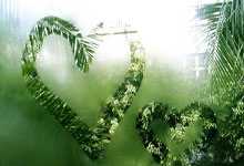 懂点足球 ｜ 7支英超球队踢欧冠？这历史性的一刻真的可能发生！.