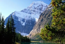 加兰25+8库里仅得11分 骑士大胜勇士豪取7连胜.