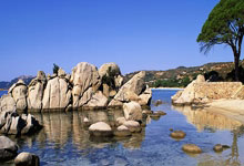 和郭晶晶分手,被国家队开除,再看田亮如今的现状,周继红没....